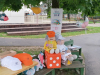 IMG_20230603_085145